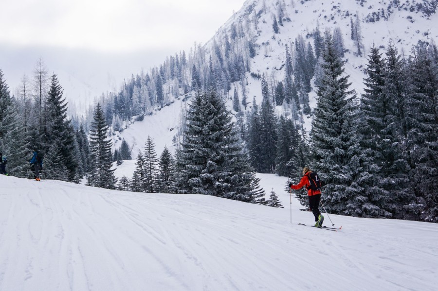 0103-2018-0611207915862305253